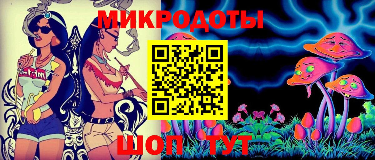 Псилоцибиновые грибы Psilocybine cubensis Губаха